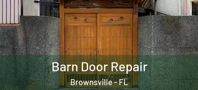  Barn Door Repair Brownsville - FL