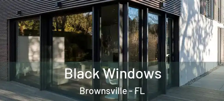 Black Windows Brownsville - FL