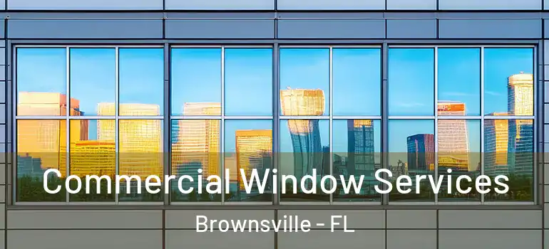 Commercial Window Services Brownsville - FL