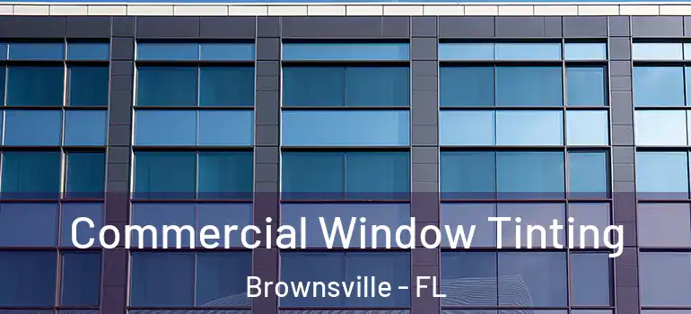 Commercial Window Tinting Brownsville - FL
