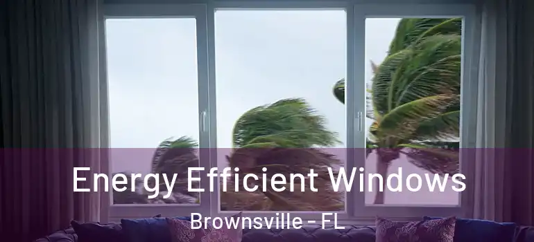 Energy Efficient Windows Brownsville - FL