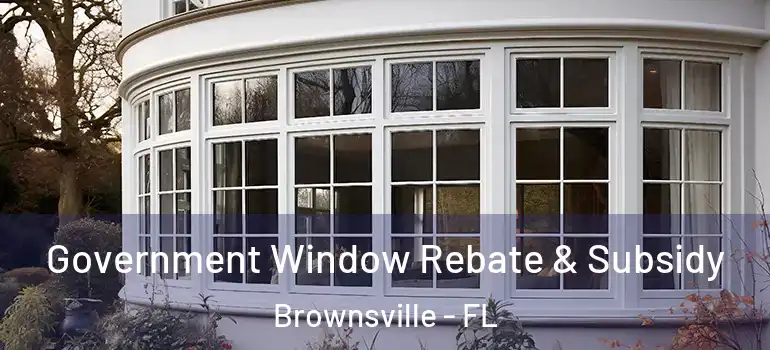 Government Window Rebate & Subsidy Brownsville - FL