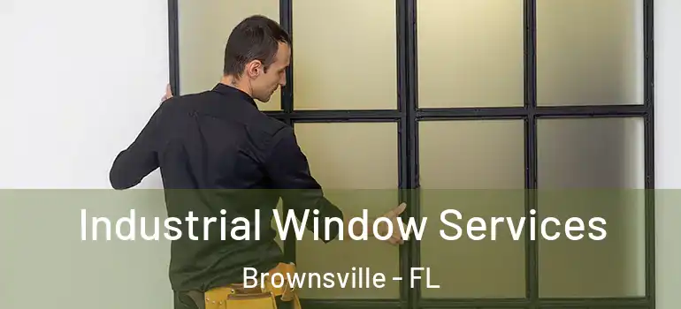 Industrial Window Services Brownsville - FL