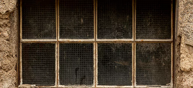 Traditional Double Front Doors in Brownsville, FL