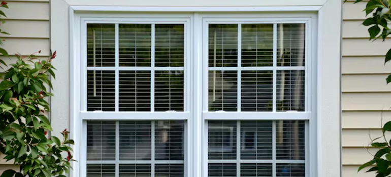Custom Double Hung Windows in Brownsville, FL