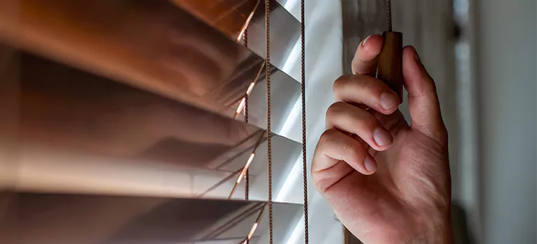 Double Roller Blinds in Brownsville, FL