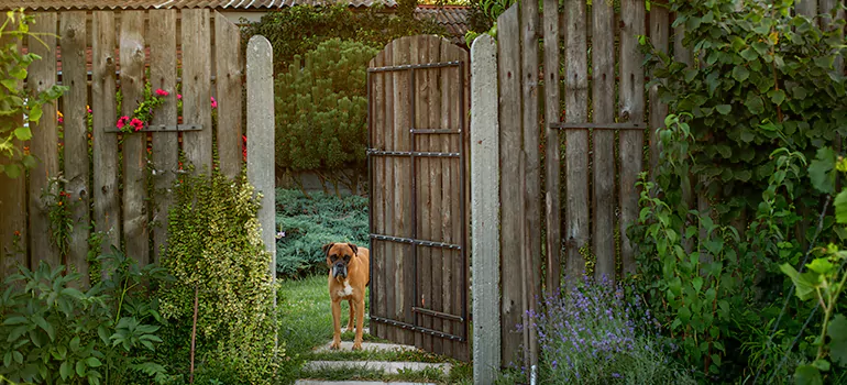 Winter Garden Garage Door Repair in Brownsville,[location field=state]