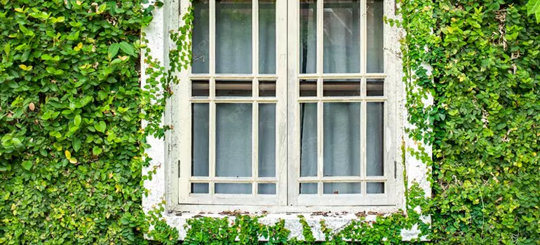 Garden Window Repair Near Me in Brownsville, FL