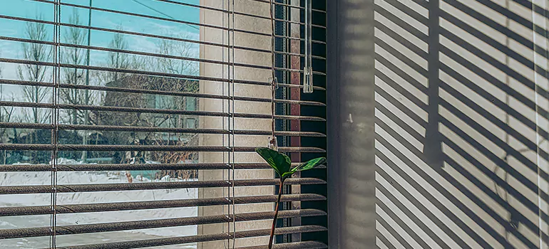 Commercial Window Blinds in Brownsville, FL