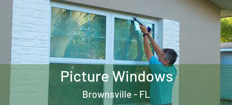 Picture Windows Brownsville - FL