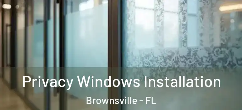 Privacy Windows Installation Brownsville - FL