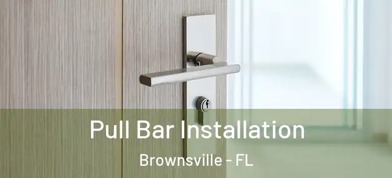  Pull Bar Installation Brownsville - FL