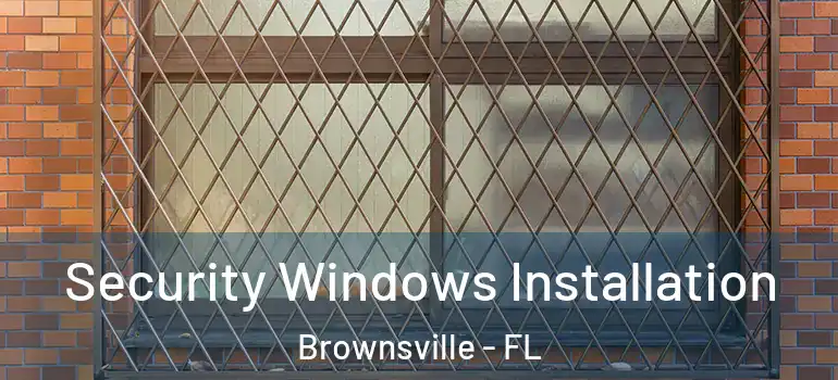  Security Windows Installation Brownsville - FL