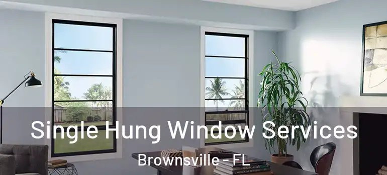  Single Hung Window Services Brownsville - FL
