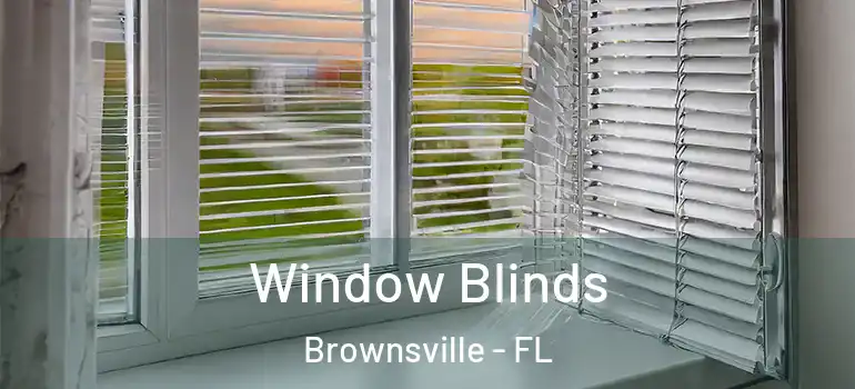  Window Blinds Brownsville - FL