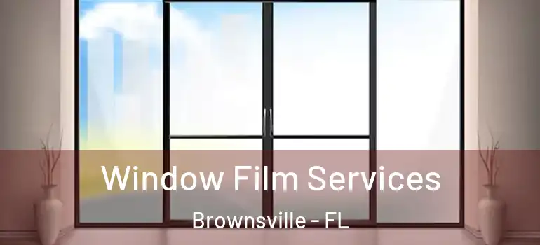  Window Film Services Brownsville - FL