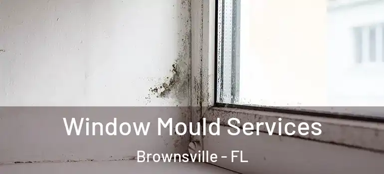  Window Mould Services Brownsville - FL