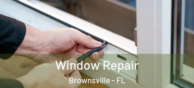 Window Repair Brownsville - FL
