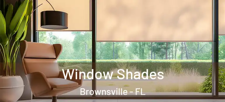 Window Shades Brownsville - FL